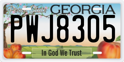 GA license plate PWJ8305