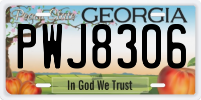 GA license plate PWJ8306