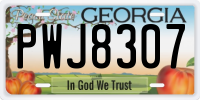 GA license plate PWJ8307