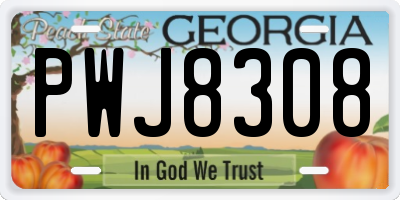 GA license plate PWJ8308