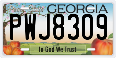 GA license plate PWJ8309