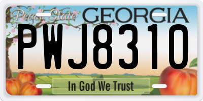GA license plate PWJ8310