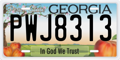 GA license plate PWJ8313
