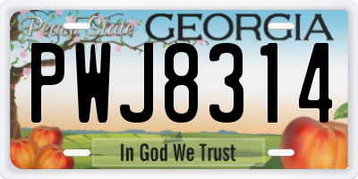 GA license plate PWJ8314