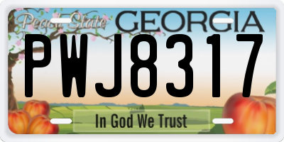 GA license plate PWJ8317