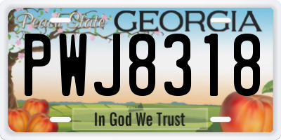 GA license plate PWJ8318