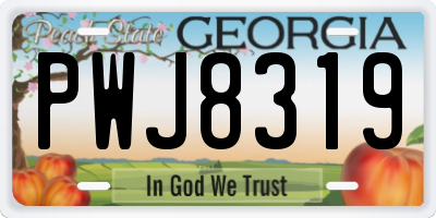 GA license plate PWJ8319