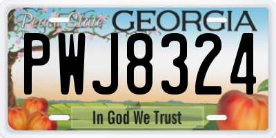 GA license plate PWJ8324