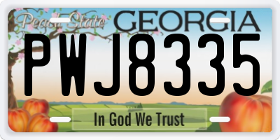 GA license plate PWJ8335