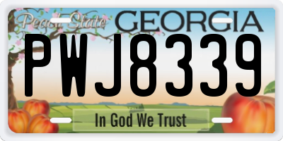 GA license plate PWJ8339