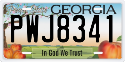 GA license plate PWJ8341