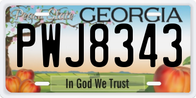 GA license plate PWJ8343