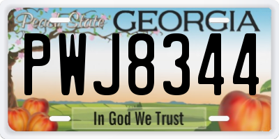 GA license plate PWJ8344