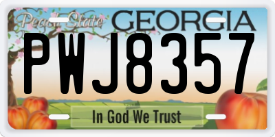 GA license plate PWJ8357
