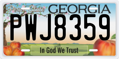 GA license plate PWJ8359