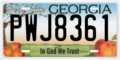 GA license plate PWJ8361