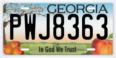 GA license plate PWJ8363