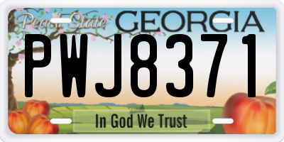 GA license plate PWJ8371