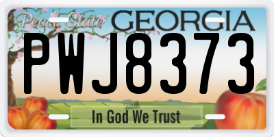 GA license plate PWJ8373