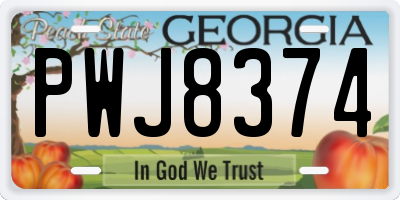 GA license plate PWJ8374