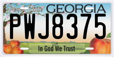 GA license plate PWJ8375