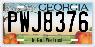 GA license plate PWJ8376