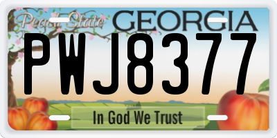 GA license plate PWJ8377