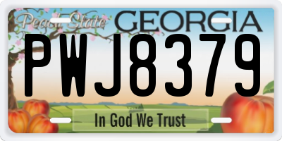 GA license plate PWJ8379