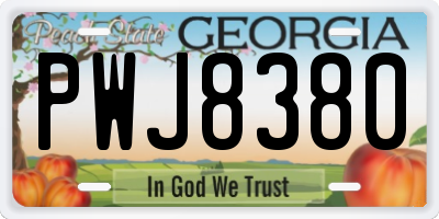 GA license plate PWJ8380