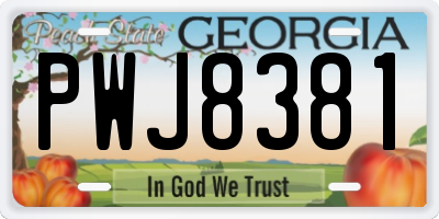 GA license plate PWJ8381