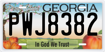GA license plate PWJ8382