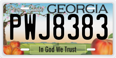 GA license plate PWJ8383