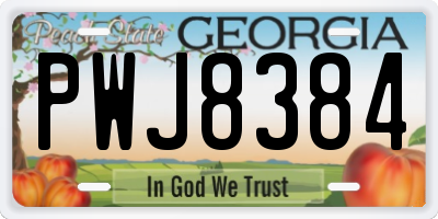 GA license plate PWJ8384