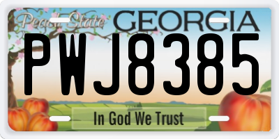 GA license plate PWJ8385