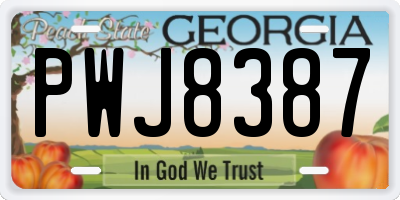 GA license plate PWJ8387