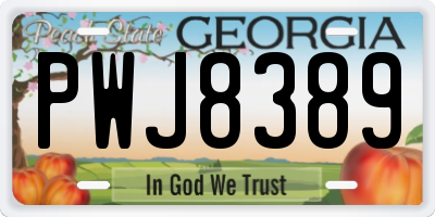 GA license plate PWJ8389