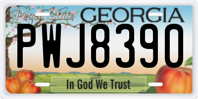 GA license plate PWJ8390
