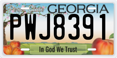GA license plate PWJ8391