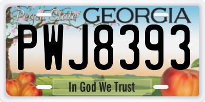 GA license plate PWJ8393