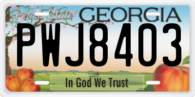 GA license plate PWJ8403