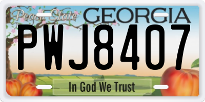 GA license plate PWJ8407