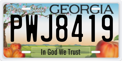 GA license plate PWJ8419