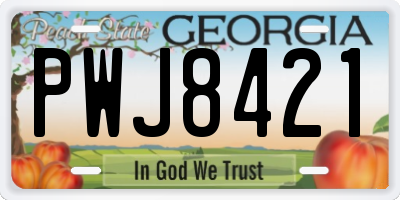 GA license plate PWJ8421