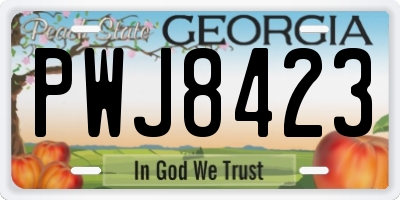 GA license plate PWJ8423