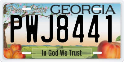 GA license plate PWJ8441