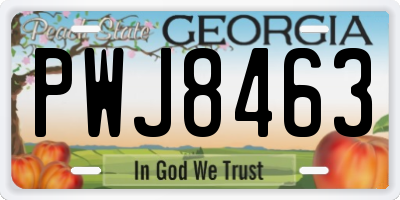 GA license plate PWJ8463