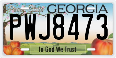 GA license plate PWJ8473
