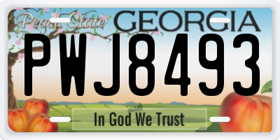 GA license plate PWJ8493