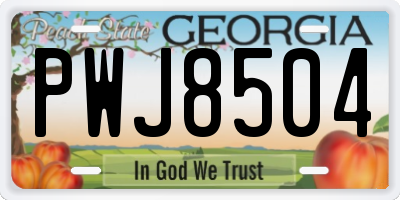 GA license plate PWJ8504