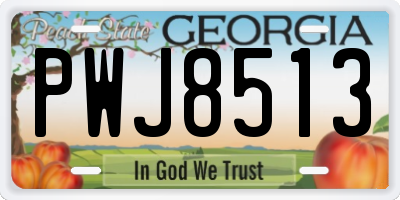 GA license plate PWJ8513
